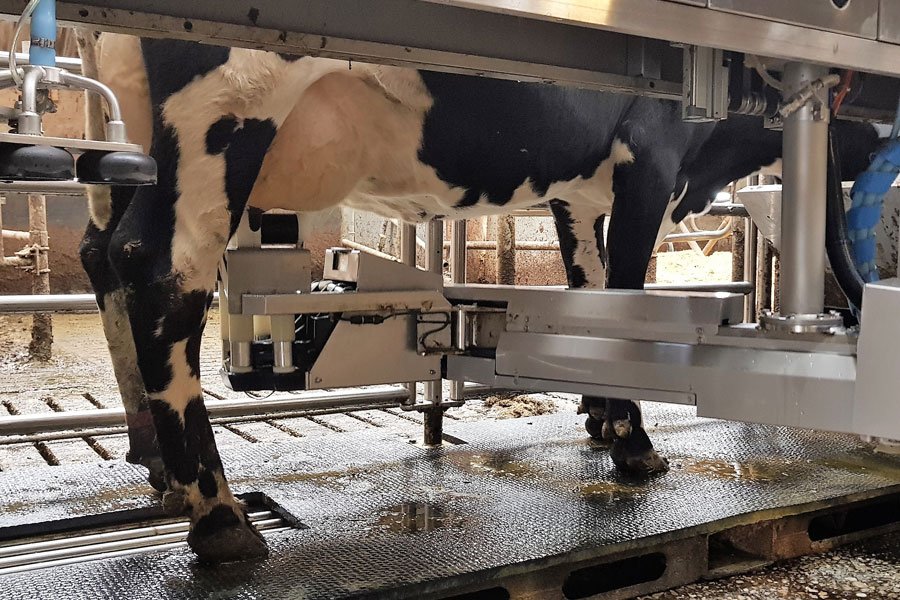 Hala udojowa Herringbone