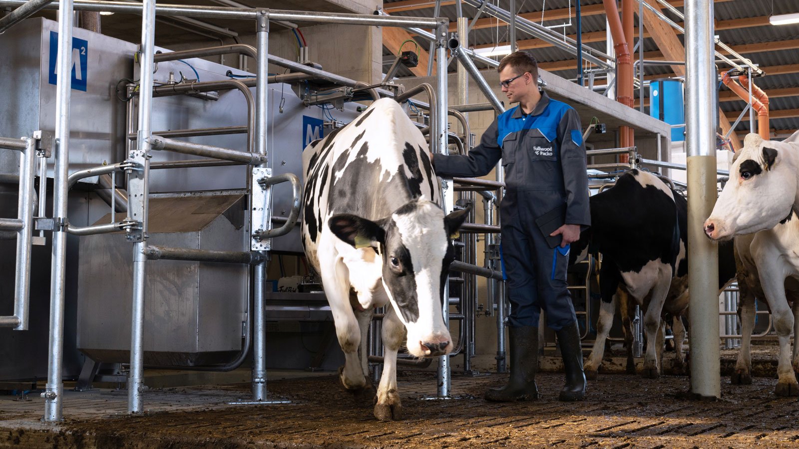 Robot udojowy M·erlin